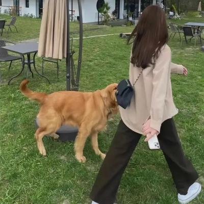 西西里鬼故事